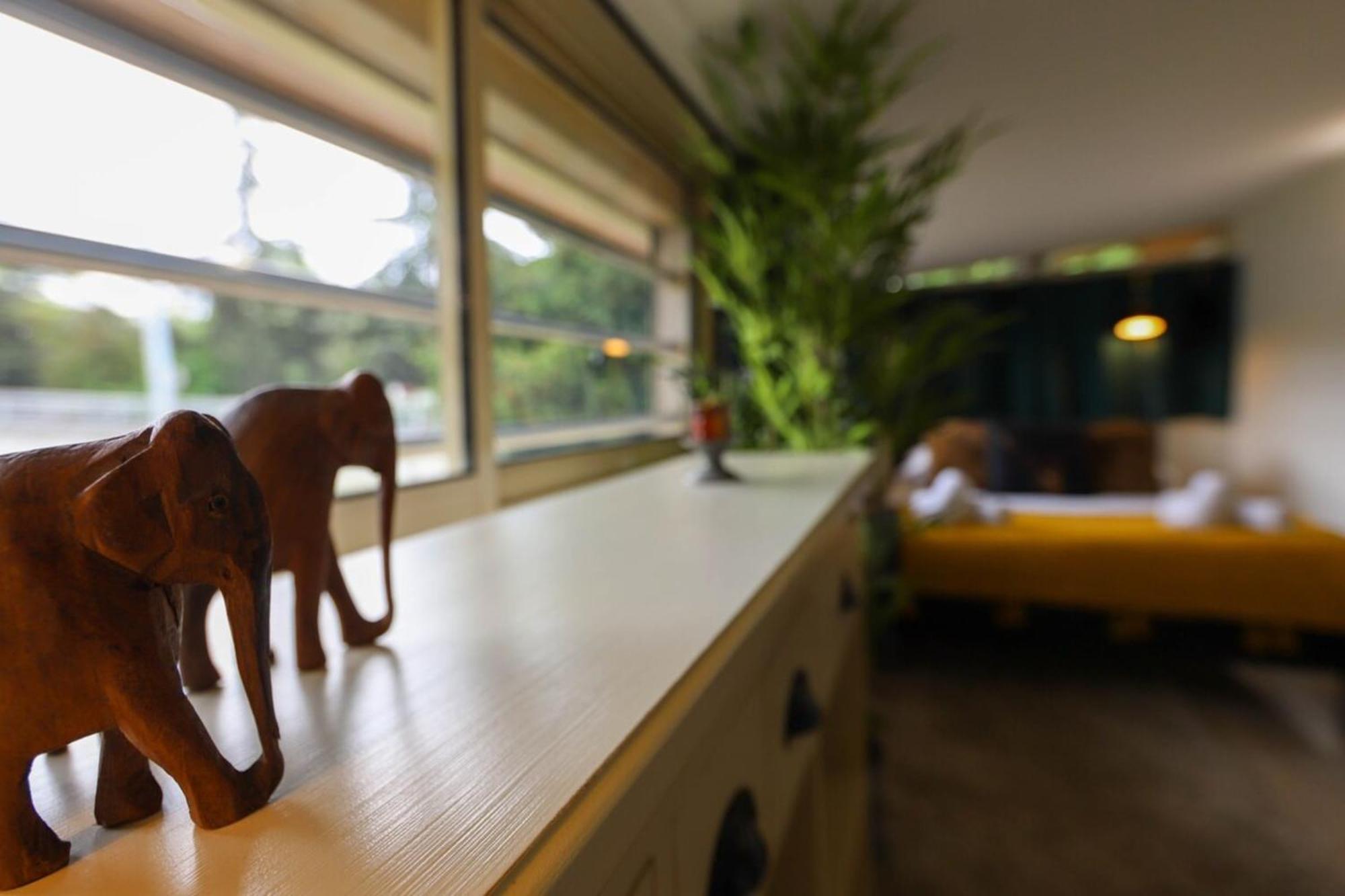 アヌシーChez Maminou - 8 Couchages Parking Proche Centreアパートメント エクステリア 写真